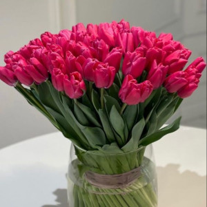 Nhà chung cư Vinhomes cần tuyển 1 chị giúp việc nhà làm lâu dài