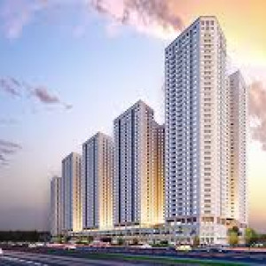 Cần gấp cô giúp việc nhà đi về làm chung cư Palm Heights, Q2