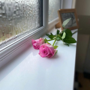 Gia Đình Rất Món Muốn Tìm Chị Chăm Sóc Ông