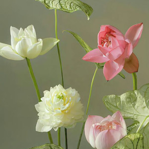 Quận 1 cần tìm 1 chị bảo mẫu có thể ăn ở lại tại nhà