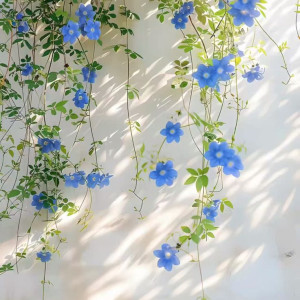 Tuyển gấp chị đầu bếp đứng bếp