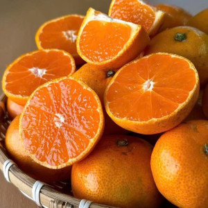 Hằng Ngày Bận Bịu Nên Muốn Tìm Chị Đến Nội Trợ