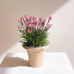 Cần tìm 1 bạn nữ phụ quán trà sữa tại đường Thích Quảng Đức- Phú Nhuận