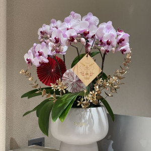 TẠP VỤ TẠI NHÀ HÀNG MỚI MỞ TẠI TÂN PHÚ