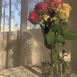 Gia Đình Em Đang Muốn Tìm Chị Chăm Sóc Bà 80 Tuổi