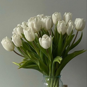 Hóc Môn cần tuyển 2 bạn pha chế quán cà phê bao ăn ở lại