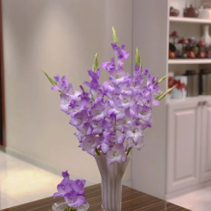 Nhà 3 người lớn cần tìm 1 chị giúp việc nhà tại quận 2