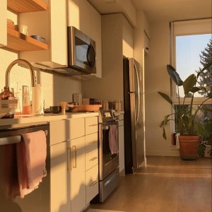 CẦN TUYỂN CÔ GIÚP VIỆC NHÀ Ở LẠI – LƯƠNG 10 TRIỆU