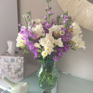 Tuyển chị gúp việc nhà bao ăn ở