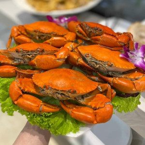 NHÀ EM CẦN CÔ VỀ CHĂM SÓC ÔNG LƯƠNG KHỞI ĐIỂM 14 TRIỆU Ở QUẬN 4.