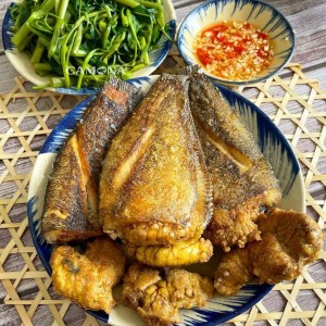 Cần tuyển chị giúp việc nhà tại Gia lai : 0978609760 ( có zalo)