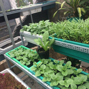 Em Đang Cần Tuyển Chị Gái Về Nấu Ăn, Giúp Việc Cho Gia Đình Ở Bình Thạnh, Nhà 2 Vợ Chồng, Bé Đi Học.