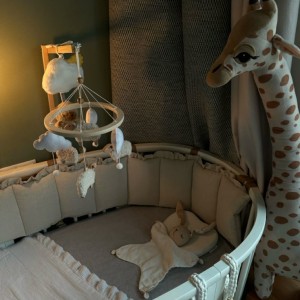 Mình là mẹ đơn thân, cần tìm cô chăm sóc bé 2 tháng tuổi ở quận 6 lương 12 triệu.