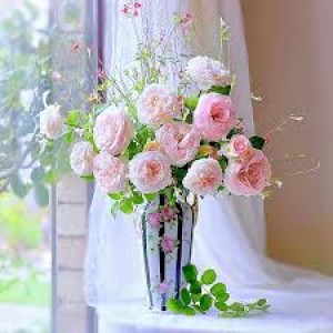 Em Cần Chị Nấu Ăn, Phụ Dọn Dẹp Nhà Cửa, Gia Đình 3 Người Lớn Ở Quận Gò Vấp.