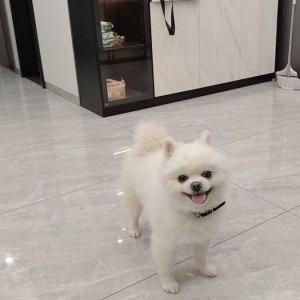 TÌM CÔ GIÚP VIỆC NHÀ Ở LẠI LƯƠNG 10 TRIỆU