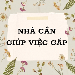 🏠 Tìm Người Giúp Việc Quận 7 - Lương 1️⃣1️⃣Tr
