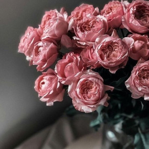 NHÀ 2 NGƯỜI CẦN TÌM GẤP CÔ GIÚP VIỆC NHÀ CHUNG CƯ QUẬN 3 LƯƠNG 10 TRIỆu