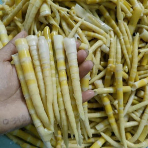 Cần tìm cô giúp việc nhà tại Thủ Đức