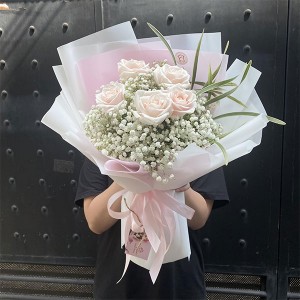 Tìm chị giúp việc nhà nấu cơm, nhà 2 lầu ở quận 7, Nhà chỉ có 2 người.