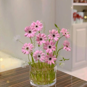 Khu dân cư City Land Gò Vấp cần tìm 1 người giúp việc bao ăn ở lương 12 triệu/ tháng