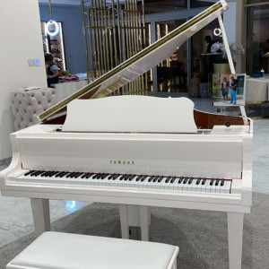 Em Tuyển Chị Giúp Việc Nhà Biệt Thự Sân Vườn Ở Thảo Điền, Quận 2.
