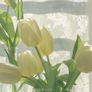 Đường Đinh bộ Lĩnh- Bình Thạnh tìm 1 chị giúp việc