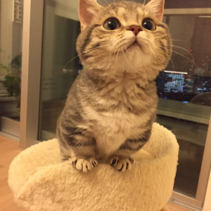 Cần Chị Trông Bé Ở Ninh Kiều, Cần Thơ Lương 9 Triệu Bao Ăn Ở.