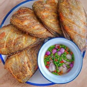 Tuyển cô chăm sóc bà đi làm ngay ạ