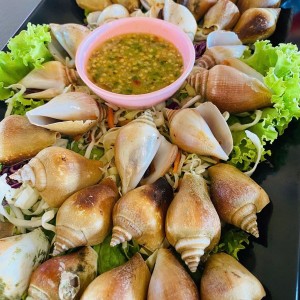 TUYỂN CÔ GIÚP VIỆC NHÀ - ĐI VỀ QUẬN 1