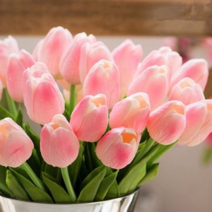 +Tìm chị lương 10 triệu bao ăn ở lại tại Q10 hcm : 0978609760 ( có zalo)