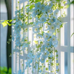 Em cần tuyển gấp 1 chị giúp việc nhà tại chung cư Q1 bao ăn ở