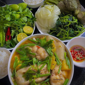 Tuyển 10 người giúp việc nhận việc đi làm ngay.