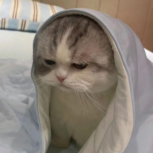 Công việc đi về Quận 8 thời gian 9h - 17h lương 9 triệu chăm sóc bé 3 tháng