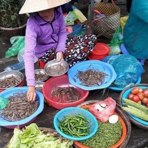 Em Đang Cần Tìm Chị Chuyên Nội Trợ