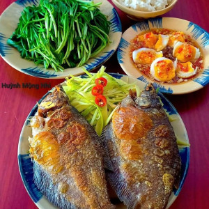 Em tuyển gấp chị giúp việc nhà, gia đình đi làm cả ngày. Lương 9 triệu