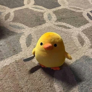 Em cần chị giúp việc nhà, phụ mẹ chăm bé 6 tháng tuổi tại Tân Bình nghỉ chủ nhật