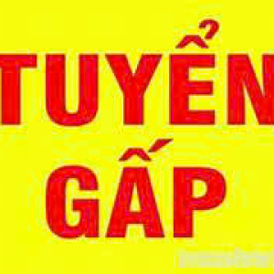 Tuyển gấp 10 cô giúp việc nhà bao ăn ở tại hồ chí minh