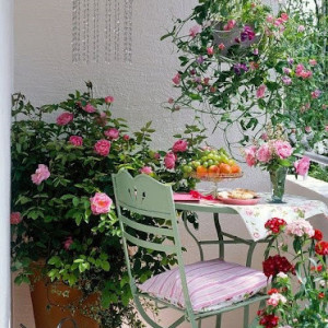 Nhà Có 4 Thành Viên Cần Chị Đến Nội Trợ Lương 11 Triệu