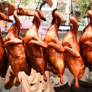 Công việc ăn ở lại tại quận 11