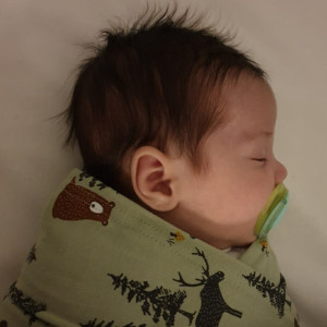 Tìm chị chăm em bé 3 tháng ở chung cư Phú Nhuận.