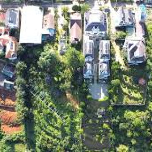 Cần Gấp cô giúp việc nhà đi làm tại quận Bình Tân