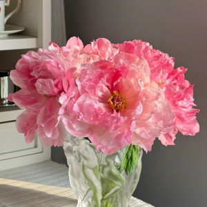 Cần 1 chị nhanh nhẹn phụ quán cơm chay tại quận 2 bao ăn ở