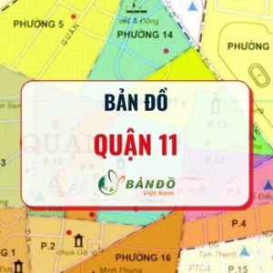 Công việc ăn ở lại tại quận 11