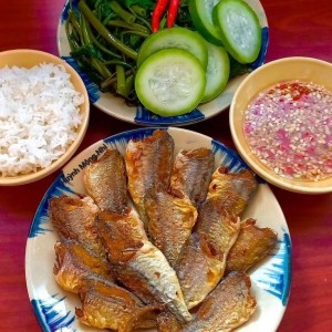 TUYỂN CHỊ GIÚP VIỆC NHÀ LƯƠNG 12 TRIỆU