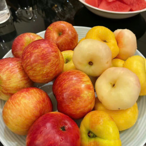 Gia Đình Em Đang Tìm Cô Biết Nội Trợ