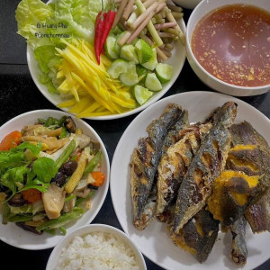 Cần chị giúp việc nhà chung cư Bình Thạnh sáng đi chiều về