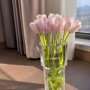 Nhà 2 vợ chồng mới cưới cần tìm chị giúp việc thu nhập ổn định