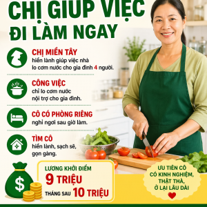 Tìm Gấp Chị Giúp Việc Đi Làm Ngay : 0978609760 ( Có Zalo)