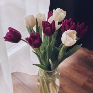 Gần bến xe An Sương cần tìm 1 chị giúp việc nhà bao ăn ở lại