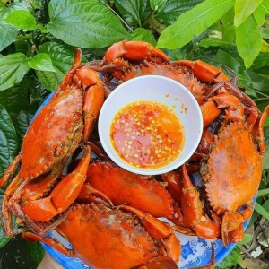 Nhà em  vợ chồng 2 con lớn cần chi giúp việc ở lại tại Q5